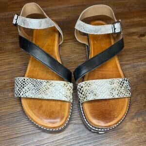 Diba True 6.5 Fiesta Time snake print, black, and metallic gold sandals